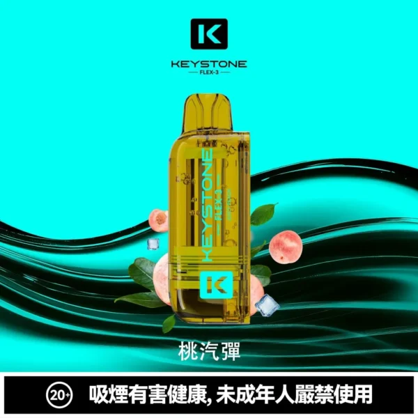 KEYSTONE FLEX-3 鑰石 25000口磁吸換彈拋棄式電子煙套裝｜22W/28W/40W三段功率調節 Mesh網狀芯 15ml透明油艙 1100mAh Type-C充電 台灣現貨【買一盒煙彈送主機】